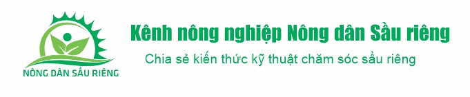 Nông dân sầu riêng